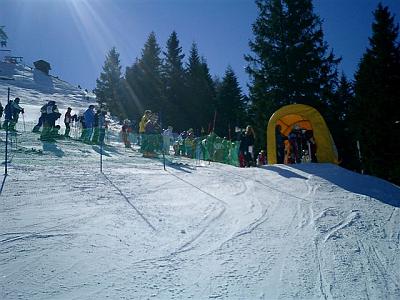 Pezz13Mar05 006